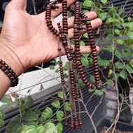 Tasbih At Tijani Yuser Galih Asem 8mm Tasbih Toriqoh Tijani Tasbih Tijani Tasbih Tijaniyah