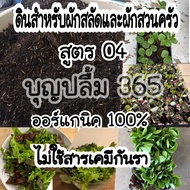 สูตร04 ถุงละ1โล (ลูกค้ามากกว่า70%ซื้อซ้ำ) ดินปลูกผักซื้อ10โลแถมฟรี1โลผสมไตรโคเดอร์ม่า  ไม่ใส่เคมีกันรา100% กรีนโอ๊ค เรดโอ๊ค กรีนคอส  
เรดคอรัล ฟิลเล่ เรดบัตตาเวีย ผักชี โหระพา กระเพรา
ผักบุ้งจีน คะน้า กวางตุ้ง บัตเตอร์เฮด ดินปลูกไม้ ดินก้ามปู มูลไส้เดือน