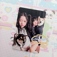 [Ready] Le Sserafim Unforgiven Antifragile photocard official Chaewon Yunjin Eunchae Unit Kazuha Sak