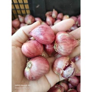 BAWANG MERAH ROS THAILAND SEKILO