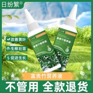 富贵竹专用营养液发财树观音竹水培植物草绿植盆栽养花液体肥Rich bamboo special nutrient solution rich tree Guanyin bamboo watersdfc