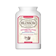 英國Blossom純南極磷蝦油 (60粒)