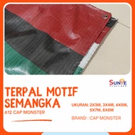 PLASTIC TARPAULIN A12 WATERMELON MOTIF MONSTER CAP SIZE 2x3m 3x4m 4x6m 5x7m 6x8m