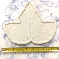 Maple Leaf Mold