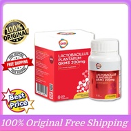 GKB Lactobacillus Plantarum gkb probiotic  gkm3 probiotic  probiotic gkb probiotic lactobacillus 1bo
