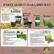 Paket alergi udara /biduran