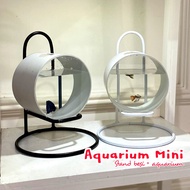 Mini aquarium stand | Complete Iron stand plus aquarium