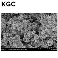 LFP 198H (Lithium Iron Phosphate) Powder for Li-ion Battery Cathode, 150 g/bottle