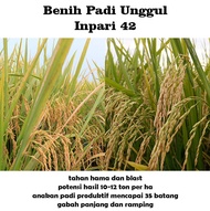 Bibit Padi Unggul Benih inpari 42 5kg