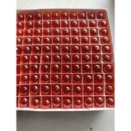 YELLOW TURN LIGHT BULB UK 12V 10 W T13 BULB