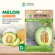 INFARM-Benih Super Melon Golden Biji Super Melon Golden Bibit Super Melon Golden Benih Melon Benih B