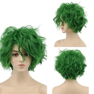 Cosplay Wig Batman Joker/Preferred 12.16