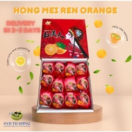SYR | Hong Mei Ren Mandarin Orange 1 Carton (12pc/box)