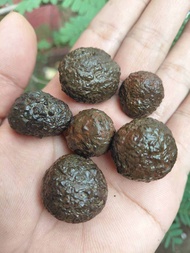 batu selonatah asli temuan