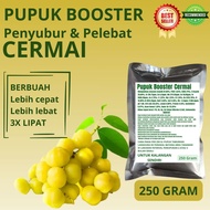Pupuk Booster Cermai / Obat Booster Buah Cermai / Pupuk Booster Buah Cermai / Pupuk Buah Cermai