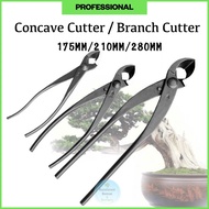 Pemotong Cekung / Concave Cutter / Branch Cutter / Bonsai Tool / Bonsai Concave Cutter