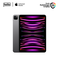 Apple iPad Pro 11 inci Gen 4 Wi-Fi 2 TB