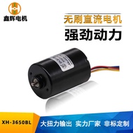 36MM Micro DC Brushless Motor Long Life 3650 Brushless Motor