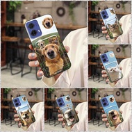 protective Anti-knock Phone Case For MOTO G85/S50 Neo Cute Cover Durable Dirt-resistant TPU Cat Card