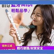 Blue Sky Department Store Wandi Electric Blowpipe Domestic Student Beginner Introductory Electronic 