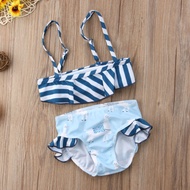 Alpha 2 Piece Swimsuit