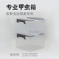 Insect Unicorn Box Beetle Beetle Beetle Beetle Pocket Larvae Box Box Club Breeding Wild Breeding Ins