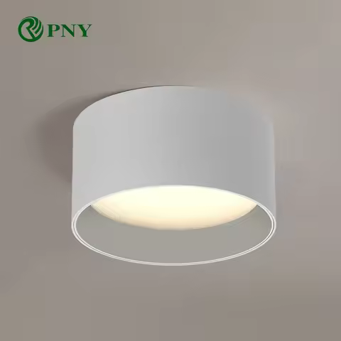 PNY Good Quality Modern Small led Ceiling Lamp Surface Mounted Downlight For Home Living Room Bedroo
