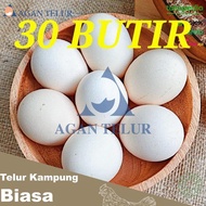 LOKAL Super Large Local Yellow Village Eggs 30 HT Eggs/