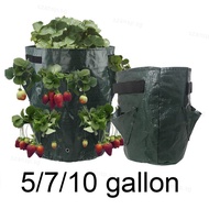 PE Strawberry Planter Grow Bags 5Gallon 7Gallon 10Gallon Potato Pot Gardening Pots Flower Veg Planti