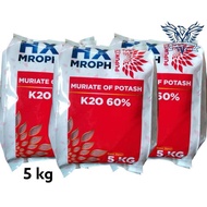 KCL HX MROPH 5 Kg Pupuk K2O (Kalium) 60% Meningkatkan Hasil dan Kualitas Panen DGW Hextar Fertilizer