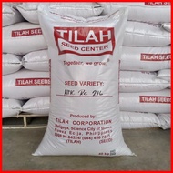 ❖ ✧ ♠ Palay Seeds Binhing Palay Rice  Seeds authorized dealer of Tilah Seeds 40kilos Binhi Inbred S