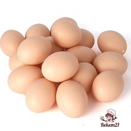 Set of 5 Plastic Fake Chicken Eggs