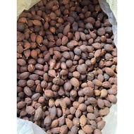 DRY cardamom – Bach Gia 86 – TYPE 1, Large, clean, beautiful fruit, delicious Brown Pho seasoning