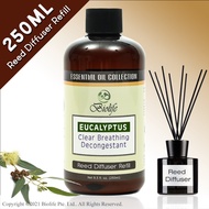 Biolife Eucalyptus Essential Oil Aromatherapy Reed Diffuser Refill Long Lasting Scent (250ml Reed-Diffuser Refill)