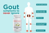 PANSIT PANSITAN GAMOT SA GOUT By Healthy Leaves
