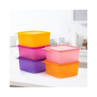 Tupperware 1.2 liter Storage Lunch Box | Medium COZYNEST 1.2L (4pcs) | Kitchen Food Place Fridge Food Container
