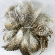 Duck FUR, MALLARD DUCK FLINK FEATHERS