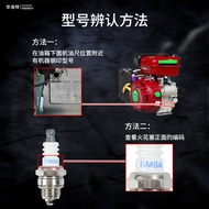 A a.Cultivator Generator Chainsaw Lawn Mower Cutter 139F148F152F-154F168F-192F Spark Plug 1UZB