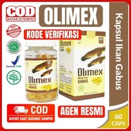 ada - OLIMEX - OLIMEX KAPSUL - KAPSUL OLIMEX - ALBUMEX -