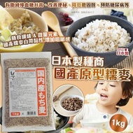 日本製種商國產原型糯麥 1KG