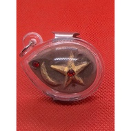 泰国佛牌/Thailand Amulet 幸运星 Lp Pinak BestThaiAmulets LP Pinak Lucky Star Amulets