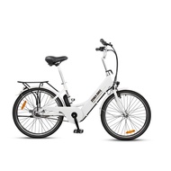 Zebra Ebike Bicycle Model 3 LTA Approved and EN15194 Certified (Comes with Freebie)