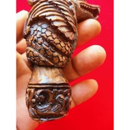 Flying dragon deder | Flying dragon Landiyan