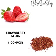 Benih Stroberi Jumbo California Bibit Strawbery 100 Biji Jumbo Biji Stroberi California Original man