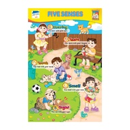 JOYTOY Five Senses Educational Poster