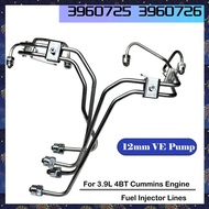 (RZDW) 1Set Injector Lines with Line Clamps Silver Automotive Supplies for 3.9L 4BT Engine 12mm VE P