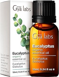 Gya Labs Organic Eucalyptus Essential Oil for Diffuser - 100% Pure Therapeutic Grade Eucalyptus Oil Essential Oil - Eucalyptus Essential Oil Organic for Skin Humidifier, Sinus &amp; Hair (10ml)