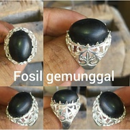 cincin fosil teras gemunggal ( kayu jadi batu rare )