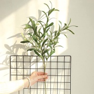 Oliu branches and leaves - Fake branches and leaves used to DECOR room with snails and decorative fl