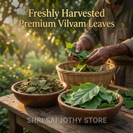 Premium Dried Vilvam Leaves (Bael Leaves) 100% Natural Herbal Leaves for Pooja, Siddha, Ayurveda & H
